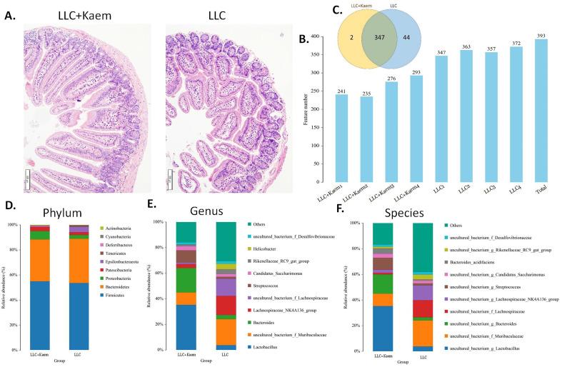 https://cdn.ncbi.nlm.nih.gov/pmc/blobs/726b/10861830/4527d7c614ea/jcav15p1314g003.jpg