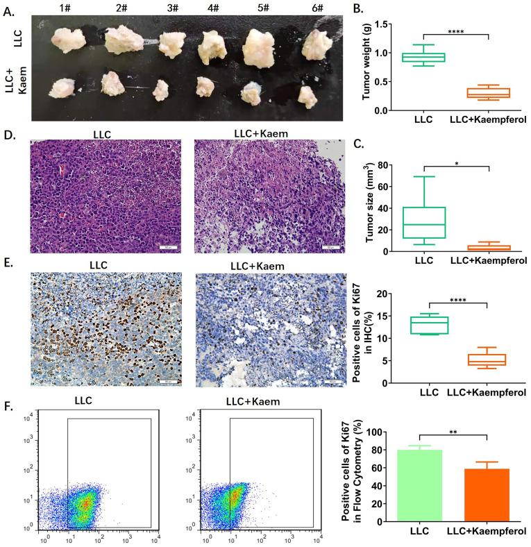 https://cdn.ncbi.nlm.nih.gov/pmc/blobs/726b/10861830/a6c3957c008e/jcav15p1314g001.jpg