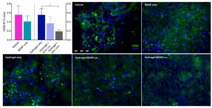 https://cdn.ncbi.nlm.nih.gov/pmc/blobs/7270/6321015/bdc90a44f747/ijms-19-03782-g005.jpg
