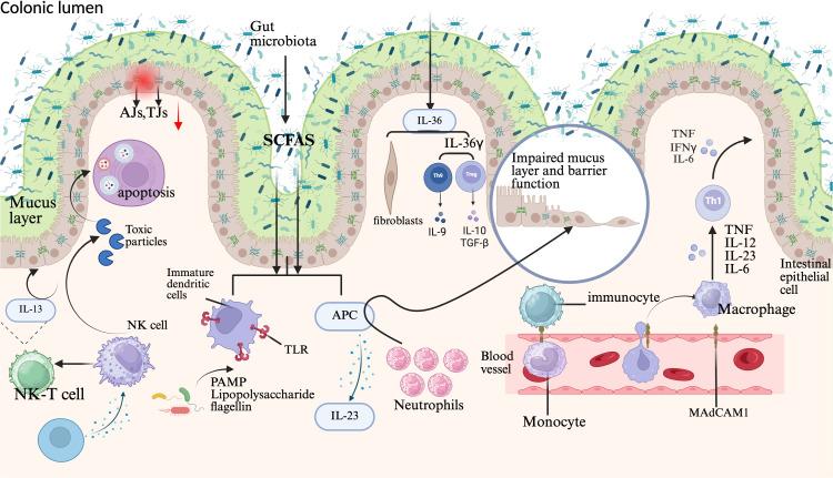 https://cdn.ncbi.nlm.nih.gov/pmc/blobs/7275/12286961/24951f2beb09/fcimb-15-1626614-g003.jpg