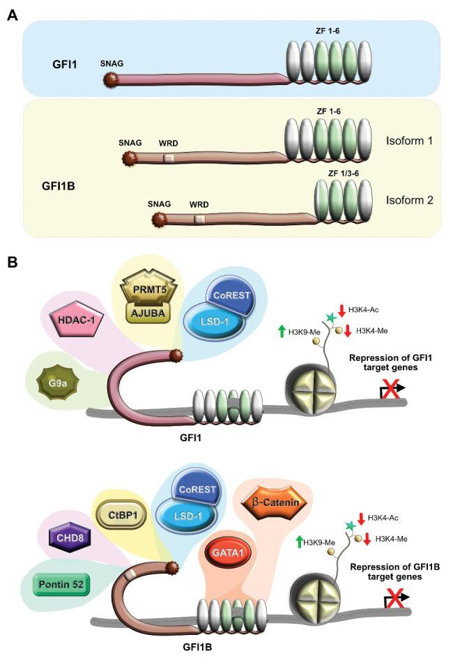 https://cdn.ncbi.nlm.nih.gov/pmc/blobs/7279/7649360/9c0de8dd06e5/fgene-11-591099-g001.jpg