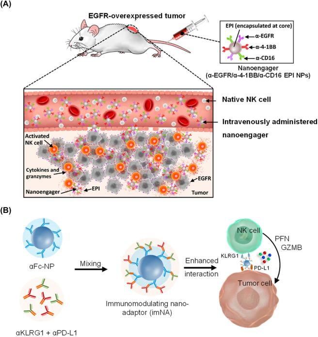 https://cdn.ncbi.nlm.nih.gov/pmc/blobs/727a/10471115/28fda0b23cad/j_mr-2022-0047_fig_010.jpg