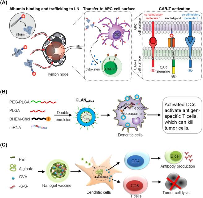 https://cdn.ncbi.nlm.nih.gov/pmc/blobs/727a/10471115/2f84cc679fda/j_mr-2022-0047_fig_005.jpg