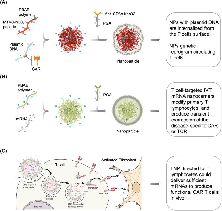 https://cdn.ncbi.nlm.nih.gov/pmc/blobs/727a/10471115/47d65f5945f1/j_mr-2022-0047_fig_002.jpg