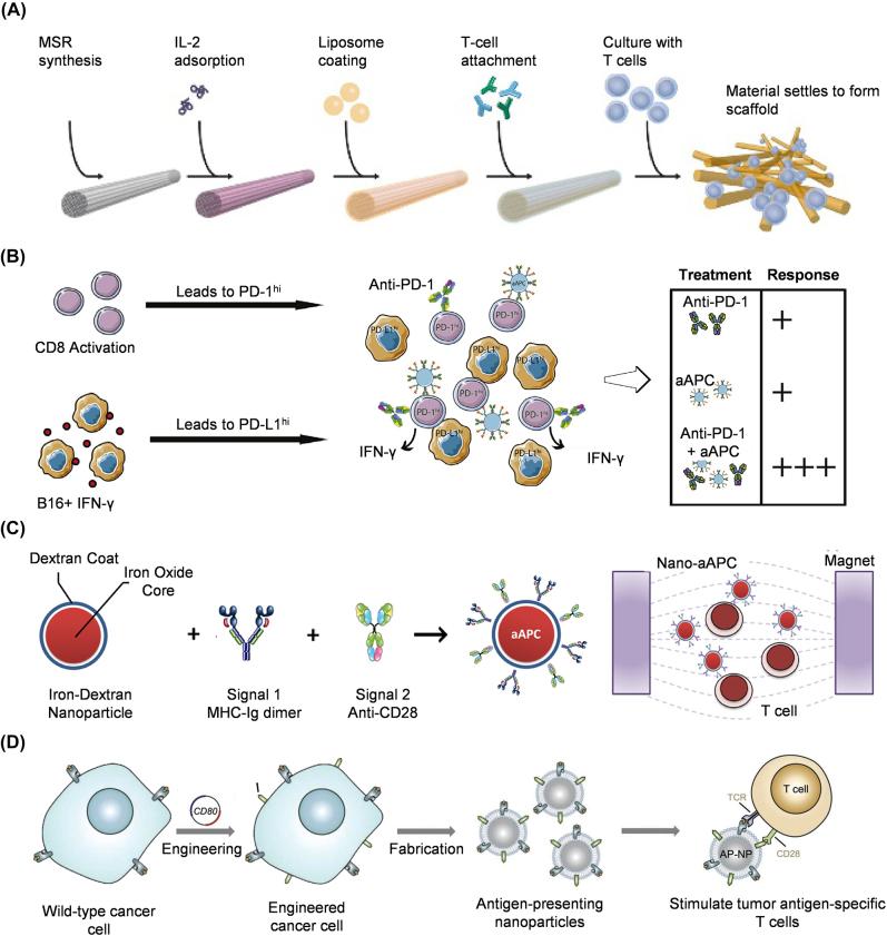 https://cdn.ncbi.nlm.nih.gov/pmc/blobs/727a/10471115/5e79a6bc581c/j_mr-2022-0047_fig_001.jpg