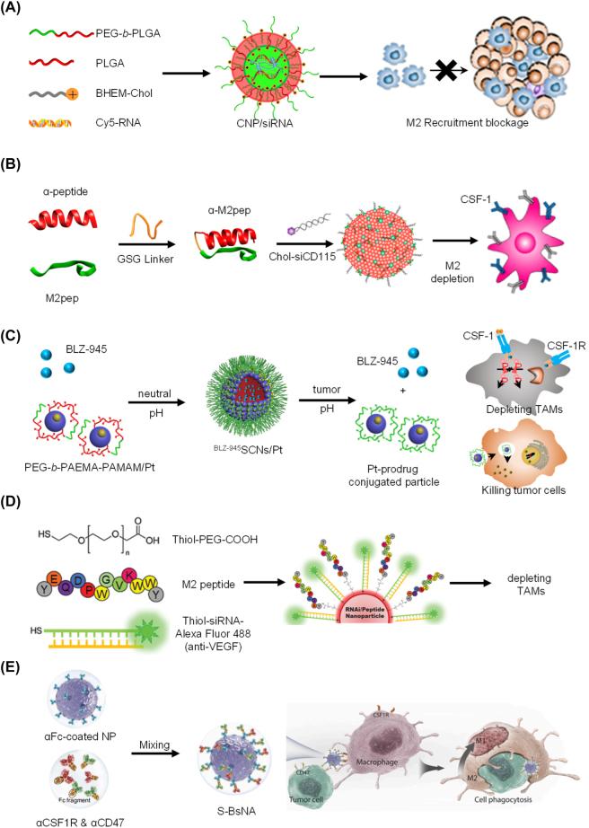 https://cdn.ncbi.nlm.nih.gov/pmc/blobs/727a/10471115/77d6b5b5fb6a/j_mr-2022-0047_fig_004.jpg