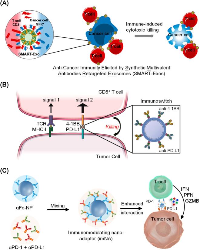 https://cdn.ncbi.nlm.nih.gov/pmc/blobs/727a/10471115/908ea87b5b9e/j_mr-2022-0047_fig_003.jpg