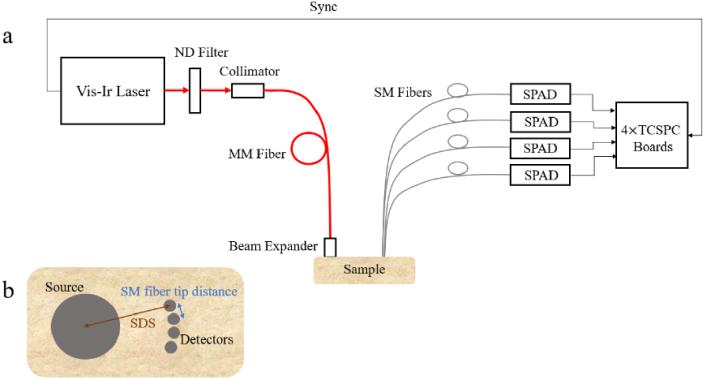 https://cdn.ncbi.nlm.nih.gov/pmc/blobs/727b/11249683/3b755c5e3a77/boe-15-7-4330-g001.jpg