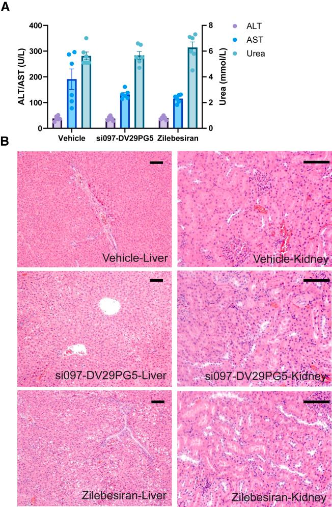 https://cdn.ncbi.nlm.nih.gov/pmc/blobs/727c/12083919/cf7a67642ae0/gr5.jpg