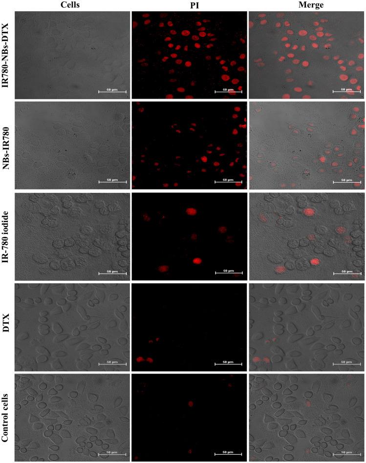 https://cdn.ncbi.nlm.nih.gov/pmc/blobs/7281/7973715/3b3de41ffc0c/41598_2021_82602_Fig8_HTML.jpg