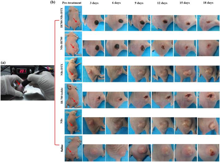 https://cdn.ncbi.nlm.nih.gov/pmc/blobs/7281/7973715/75db84716445/41598_2021_82602_Fig12_HTML.jpg