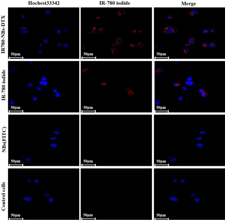 https://cdn.ncbi.nlm.nih.gov/pmc/blobs/7281/7973715/7d426b75bb60/41598_2021_82602_Fig6_HTML.jpg