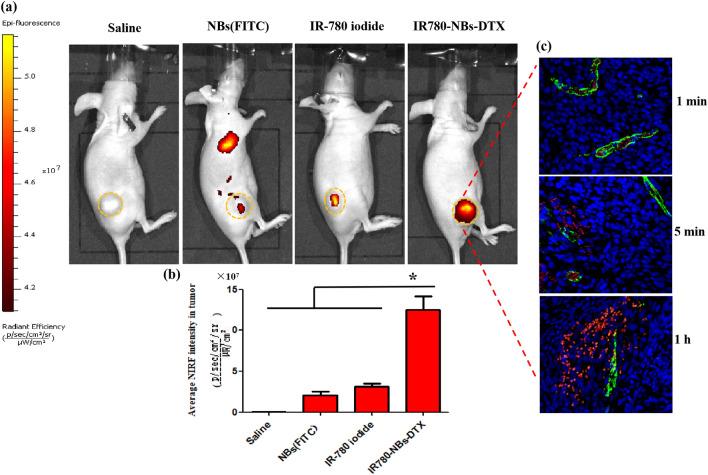 https://cdn.ncbi.nlm.nih.gov/pmc/blobs/7281/7973715/ae77e5b57a1e/41598_2021_82602_Fig10_HTML.jpg