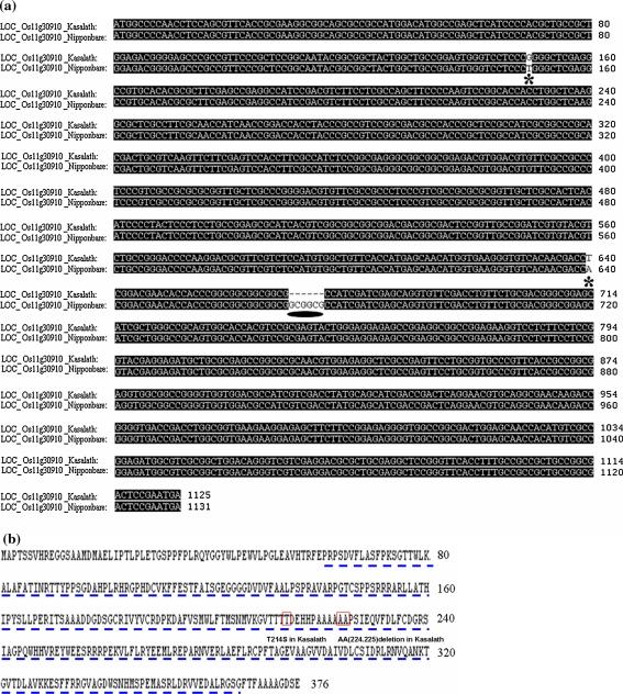 https://cdn.ncbi.nlm.nih.gov/pmc/blobs/7283/3082044/34b7e6878af8/122_2011_1557_Fig8_HTML.jpg
