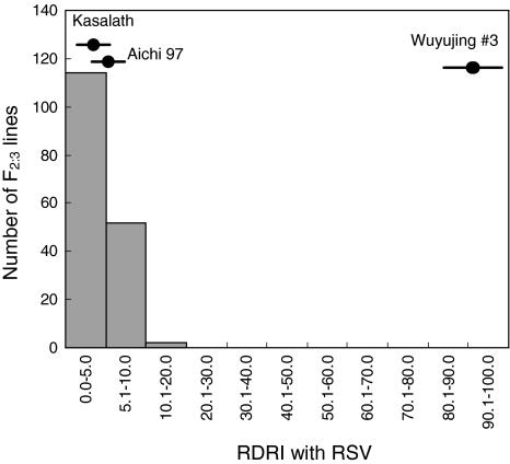https://cdn.ncbi.nlm.nih.gov/pmc/blobs/7283/3082044/56824363d951/122_2011_1557_Fig7_HTML.jpg
