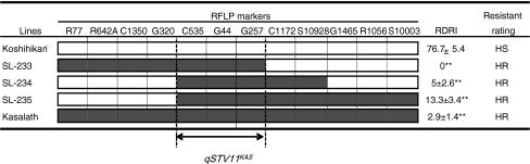 https://cdn.ncbi.nlm.nih.gov/pmc/blobs/7283/3082044/de17c704348e/122_2011_1557_Fig5_HTML.jpg