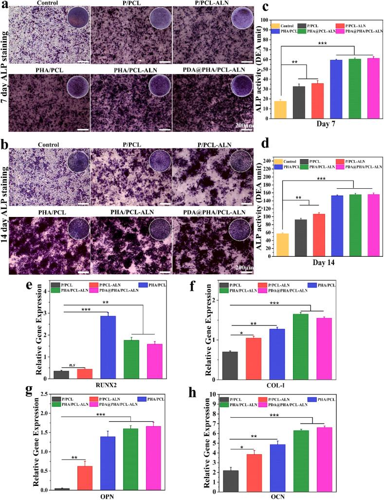https://cdn.ncbi.nlm.nih.gov/pmc/blobs/7284/11109009/1fe20468c22e/gr5.jpg
