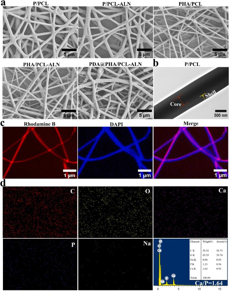 https://cdn.ncbi.nlm.nih.gov/pmc/blobs/7284/11109009/62329b414537/gr1.jpg