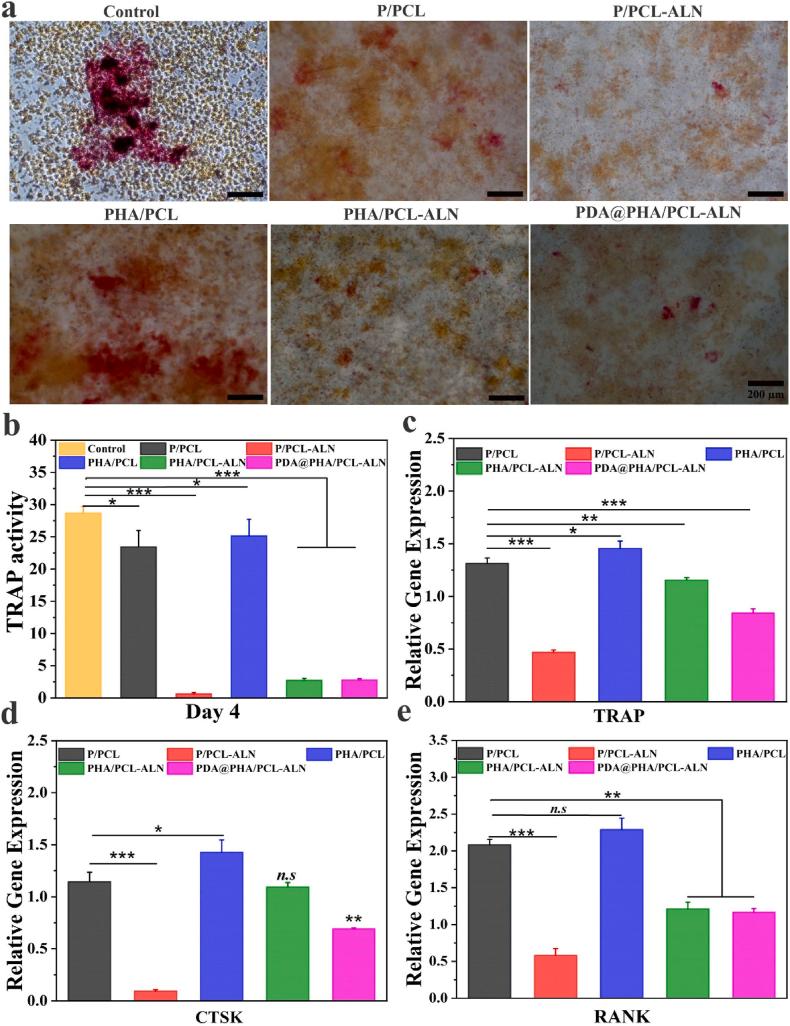 https://cdn.ncbi.nlm.nih.gov/pmc/blobs/7284/11109009/6362e841ac17/gr7.jpg