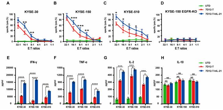 https://cdn.ncbi.nlm.nih.gov/pmc/blobs/7284/12292304/5536c3d7f56a/biomedicines-13-01598-g005.jpg