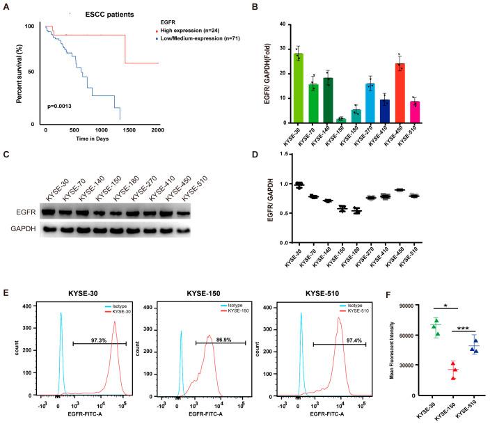 https://cdn.ncbi.nlm.nih.gov/pmc/blobs/7284/12292304/8d90551e58f5/biomedicines-13-01598-g001.jpg