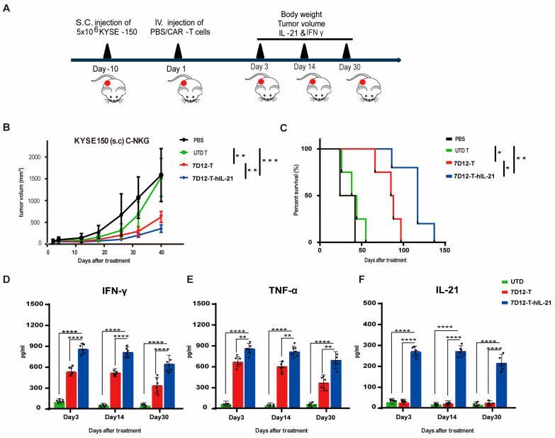 https://cdn.ncbi.nlm.nih.gov/pmc/blobs/7284/12292304/afcb906476a5/biomedicines-13-01598-g006.jpg