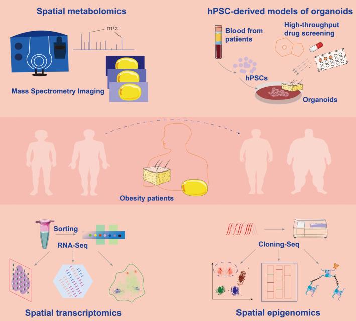 https://cdn.ncbi.nlm.nih.gov/pmc/blobs/7285/10828914/b5bd89dcfc48/PRP2-12-e1171-g010.jpg