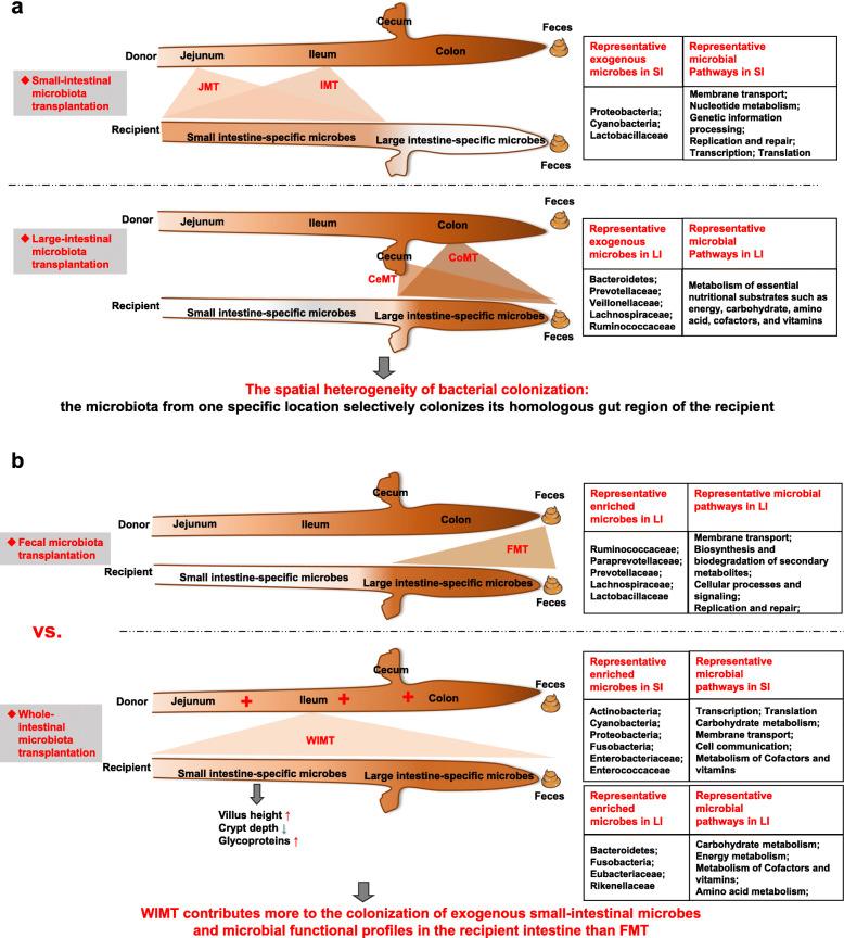https://cdn.ncbi.nlm.nih.gov/pmc/blobs/7285/7677849/9ea8182e2ef4/40168_2020_917_Fig10_HTML.jpg