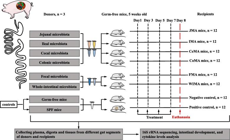 https://cdn.ncbi.nlm.nih.gov/pmc/blobs/7285/7677849/a350d5419df9/40168_2020_917_Fig1_HTML.jpg