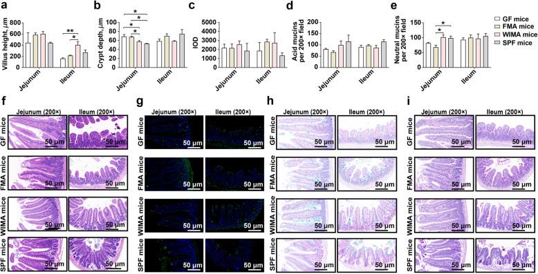https://cdn.ncbi.nlm.nih.gov/pmc/blobs/7285/7677849/cf491cbf6eae/40168_2020_917_Fig8_HTML.jpg