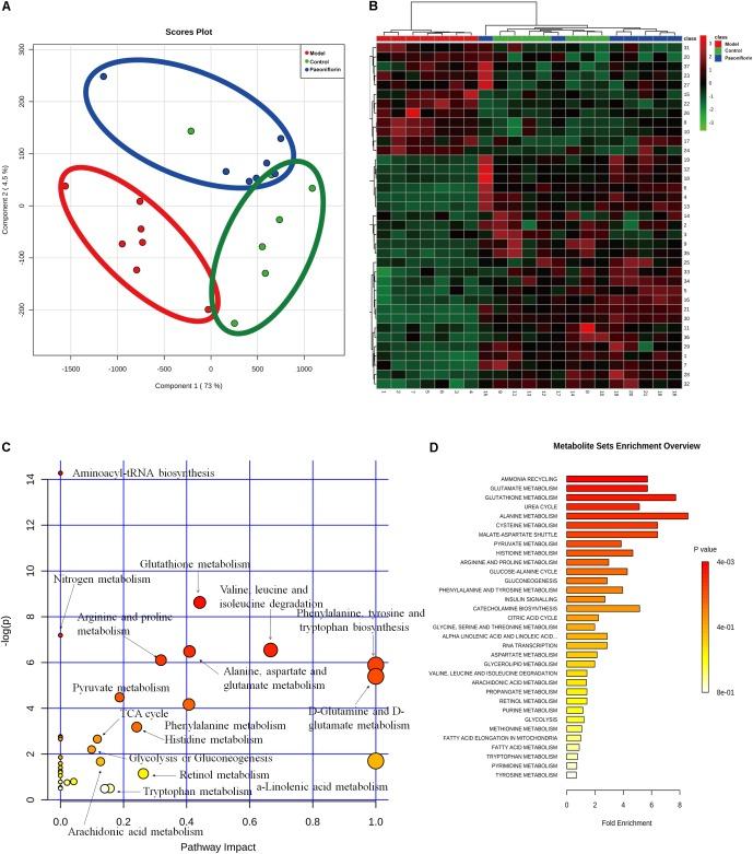https://cdn.ncbi.nlm.nih.gov/pmc/blobs/7287/6362974/a5c83d360a74/fphar-09-01531-g003.jpg