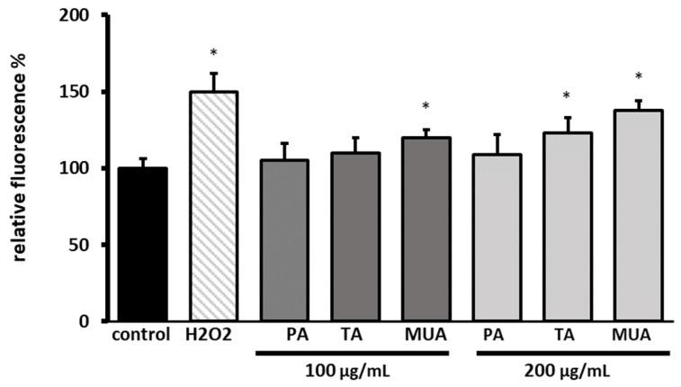 https://cdn.ncbi.nlm.nih.gov/pmc/blobs/7288/10525758/1b28ea2d0c51/antioxidants-12-01704-g007.jpg