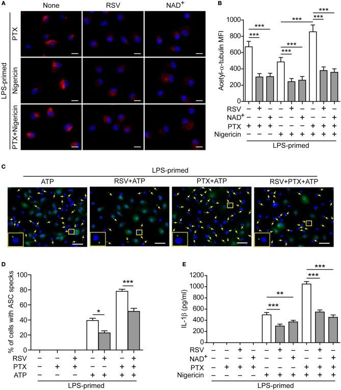 https://cdn.ncbi.nlm.nih.gov/pmc/blobs/7288/6361797/4998c2ba6ba4/fimmu-10-00072-g0004.jpg