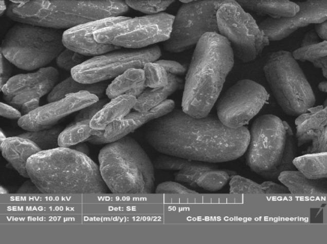 https://cdn.ncbi.nlm.nih.gov/pmc/blobs/728f/12223094/5d2a32e1cb19/41598_2025_9159_Fig2_HTML.jpg