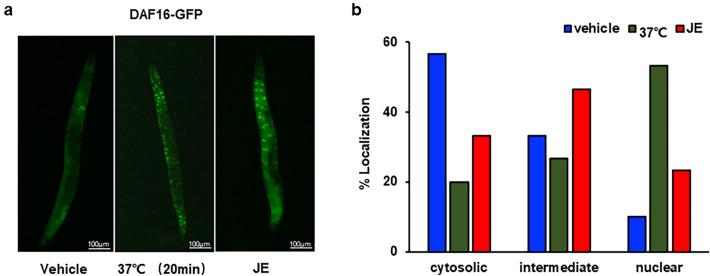 https://cdn.ncbi.nlm.nih.gov/pmc/blobs/7293/11178930/412e7dc8503a/41598_2024_64045_Fig8_HTML.jpg