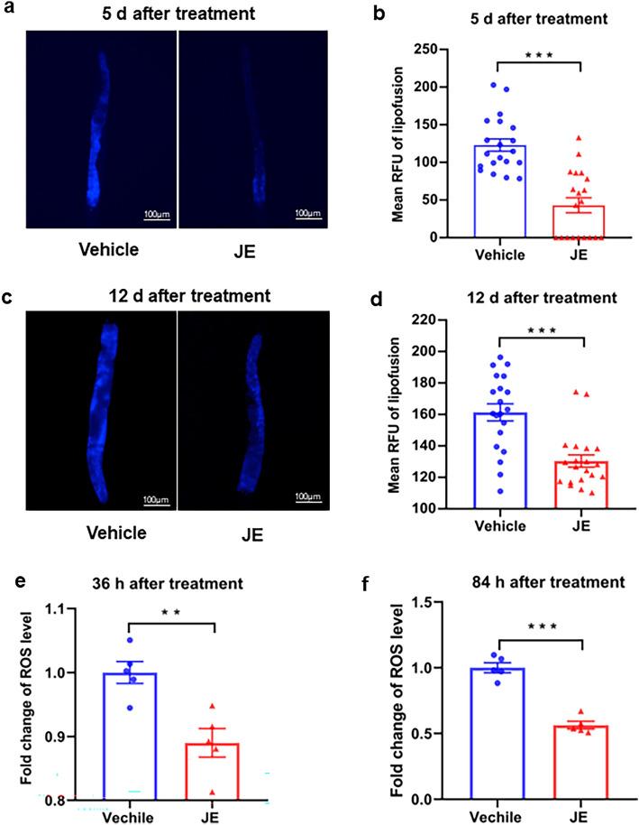 https://cdn.ncbi.nlm.nih.gov/pmc/blobs/7293/11178930/881b69c146ad/41598_2024_64045_Fig3_HTML.jpg