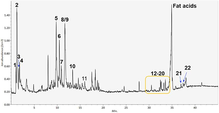 https://cdn.ncbi.nlm.nih.gov/pmc/blobs/7293/11178930/8829adb96a1e/41598_2024_64045_Fig1_HTML.jpg