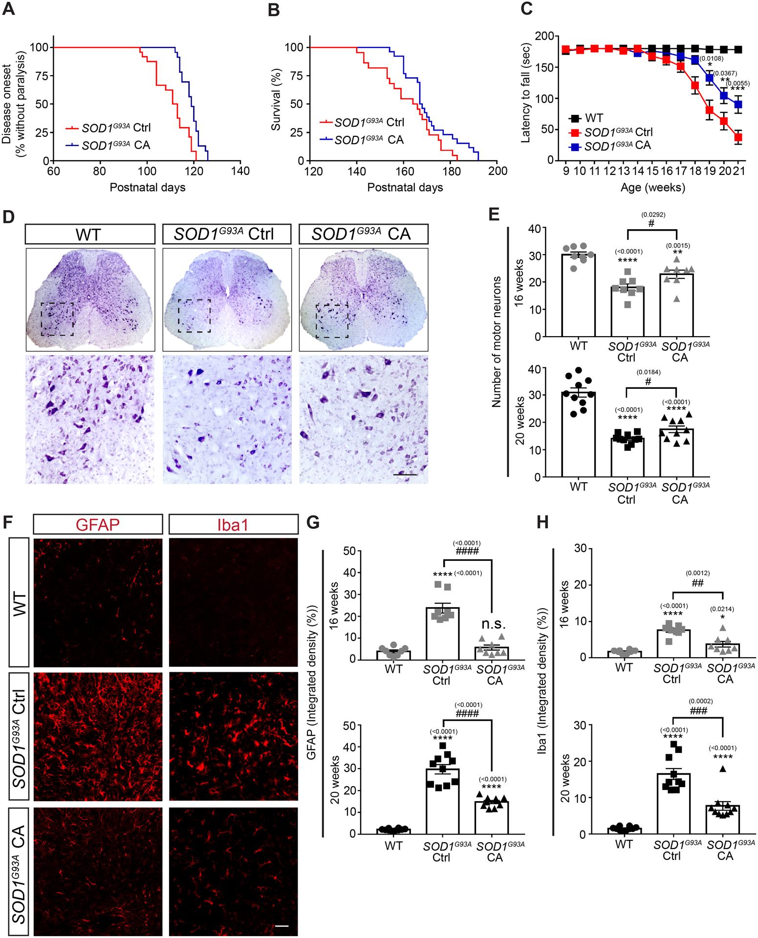 https://cdn.ncbi.nlm.nih.gov/pmc/blobs/7293/8639773/3080697d417d/nihms-1741142-f0007.jpg
