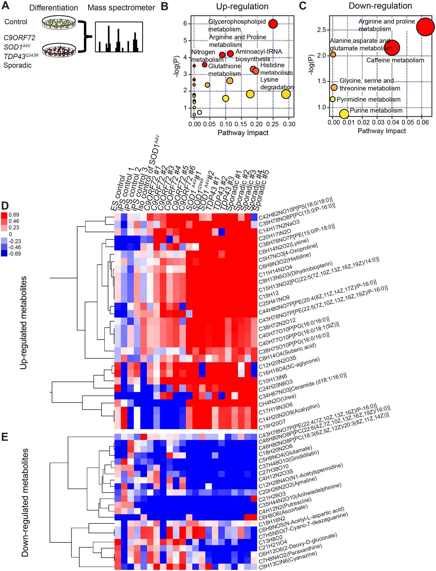 https://cdn.ncbi.nlm.nih.gov/pmc/blobs/7293/8639773/c3e3fc58ae6a/nihms-1741142-f0004.jpg