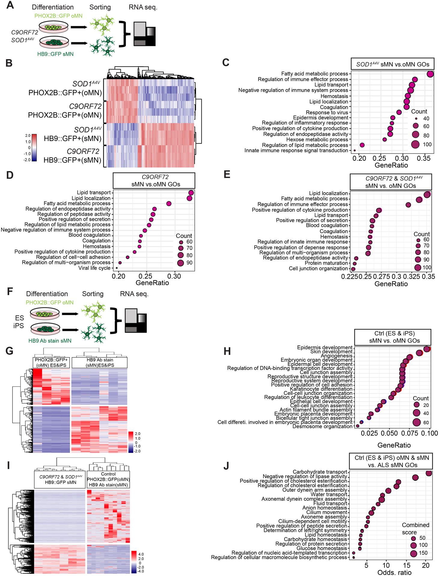 https://cdn.ncbi.nlm.nih.gov/pmc/blobs/7293/8639773/cf9b9820a00c/nihms-1741142-f0002.jpg