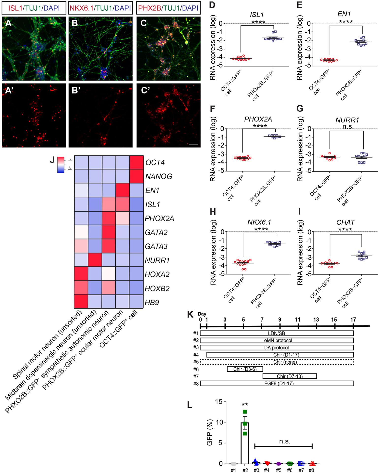 https://cdn.ncbi.nlm.nih.gov/pmc/blobs/7293/8639773/d39fcb1ab8c5/nihms-1741142-f0008.jpg