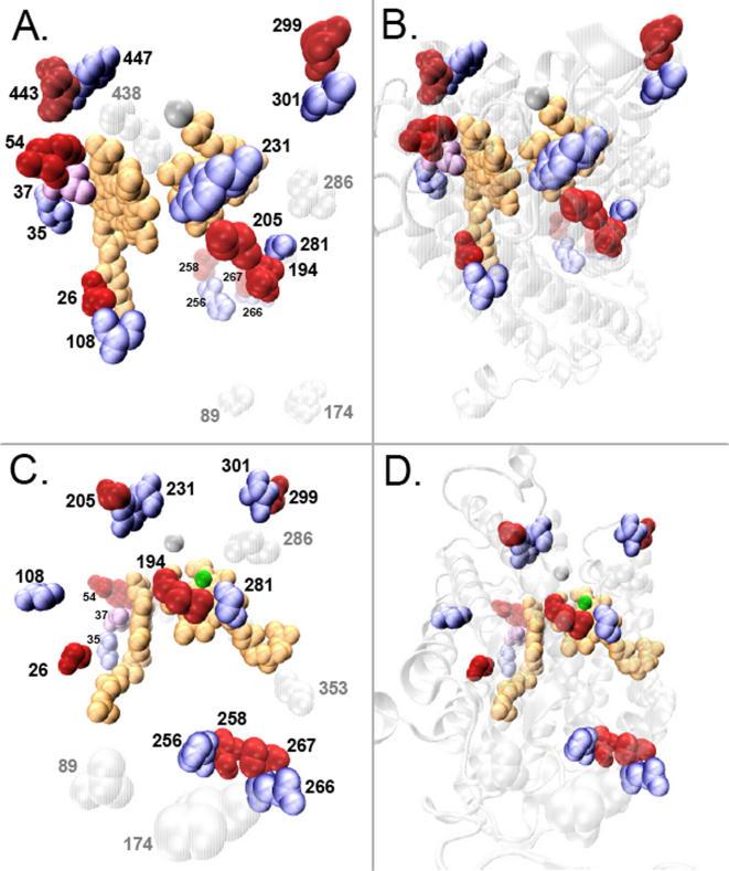 https://cdn.ncbi.nlm.nih.gov/pmc/blobs/7294/2376058/551fa93042b3/pone.0002201.g002.jpg