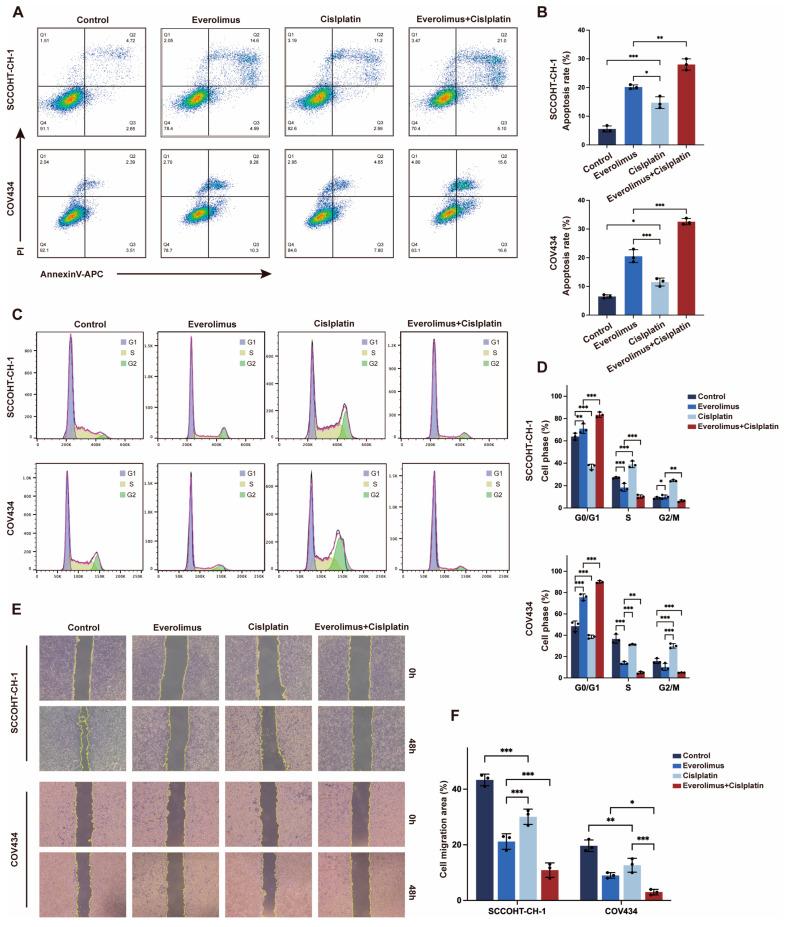 https://cdn.ncbi.nlm.nih.gov/pmc/blobs/7295/11759183/1008f62a9936/biomedicines-13-00001-g002.jpg