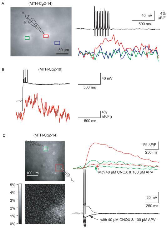 https://cdn.ncbi.nlm.nih.gov/pmc/blobs/7295/423138/6e5c8464e912/pbio.0020163.g601.jpg