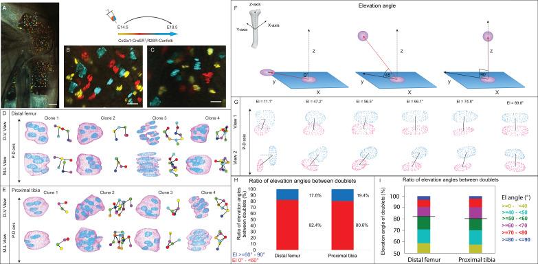 https://cdn.ncbi.nlm.nih.gov/pmc/blobs/7298/11509684/8ec21873e4a5/elife-95289-fig1.jpg