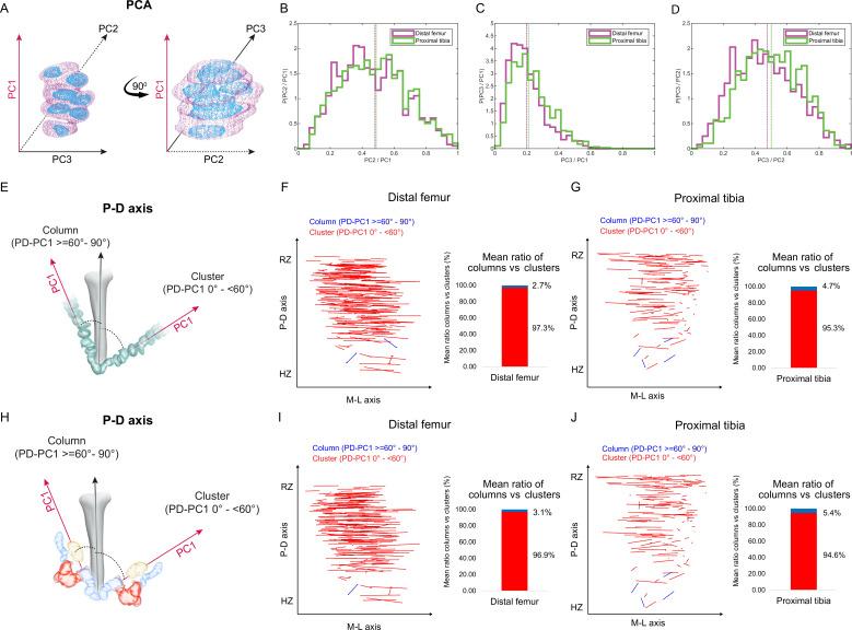 https://cdn.ncbi.nlm.nih.gov/pmc/blobs/7298/11509684/bc93d2441412/elife-95289-fig2.jpg
