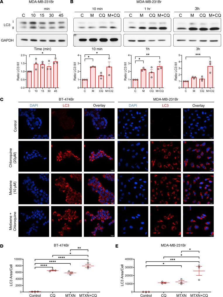 https://cdn.ncbi.nlm.nih.gov/pmc/blobs/7299/10721147/46068f0d9758/jci-133-161142-g047.jpg