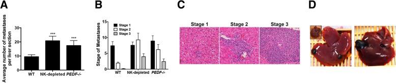 https://cdn.ncbi.nlm.nih.gov/pmc/blobs/7299/6532210/1aa168980bb9/12885_2019_5712_Fig1_HTML.jpg