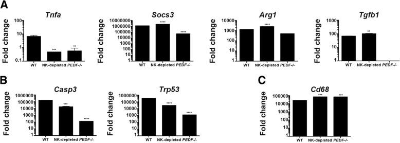 https://cdn.ncbi.nlm.nih.gov/pmc/blobs/7299/6532210/4f57cc181fbf/12885_2019_5712_Fig3_HTML.jpg