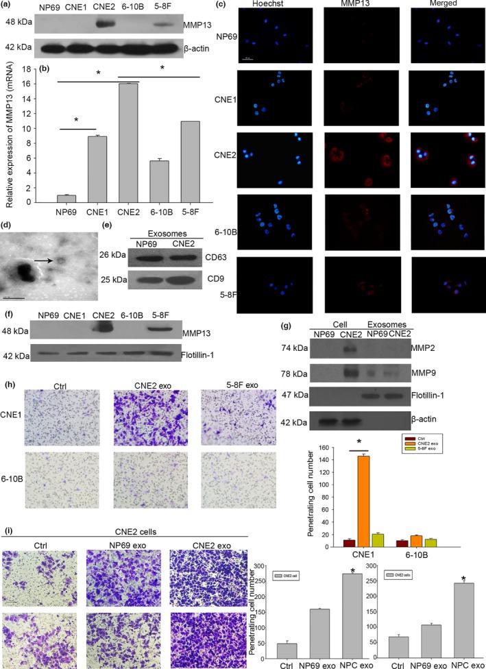 https://cdn.ncbi.nlm.nih.gov/pmc/blobs/729a/4714673/29d13878f2fe/CAS-106-00000000001669-g003.jpg